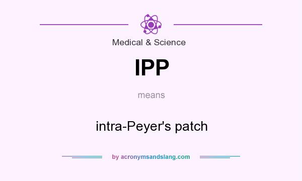 What does IPP mean? It stands for intra-Peyer`s patch