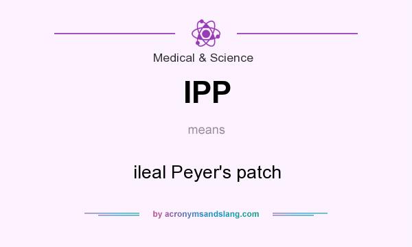 What does IPP mean? It stands for ileal Peyer`s patch