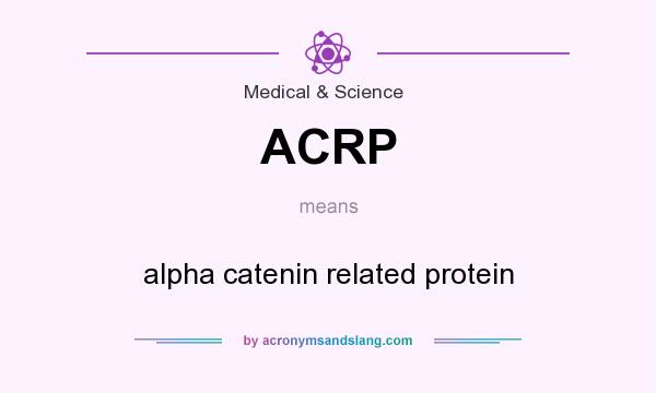 What does ACRP mean? It stands for alpha catenin related protein