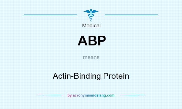 What does ABP mean? It stands for Actin-Binding Protein