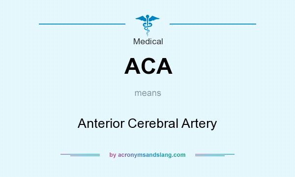 What does ACA mean? It stands for Anterior Cerebral Artery
