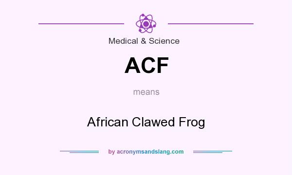 What does ACF mean? It stands for African Clawed Frog