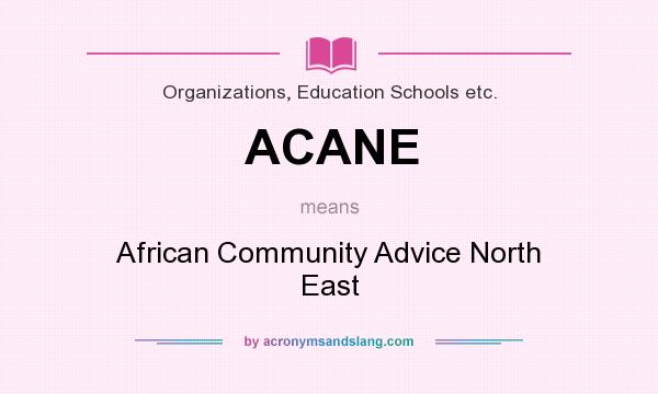 What does ACANE mean? It stands for African Community Advice North East