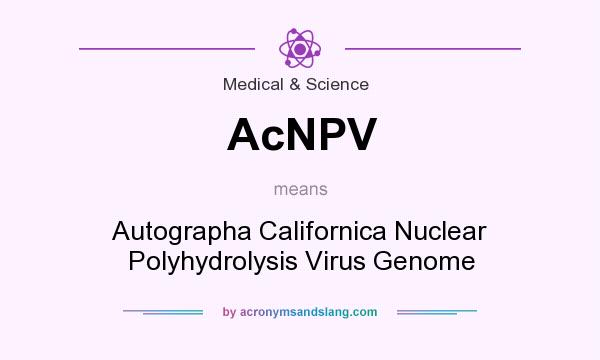 What does AcNPV mean? It stands for Autographa Californica Nuclear Polyhydrolysis Virus Genome