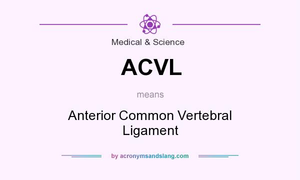 What does ACVL mean? It stands for Anterior Common Vertebral Ligament