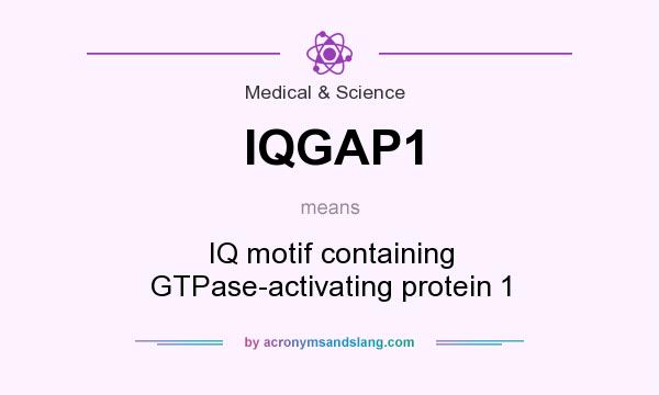 What does IQGAP1 mean? It stands for IQ motif containing GTPase-activating protein 1