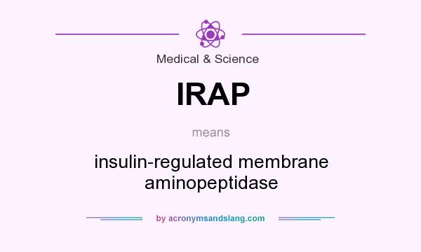 What does IRAP mean? It stands for insulin-regulated membrane aminopeptidase