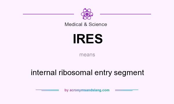What does IRES mean? It stands for internal ribosomal entry segment
