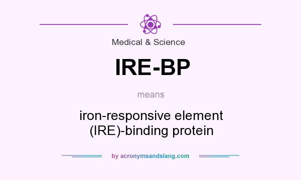What does IRE-BP mean? It stands for iron-responsive element (IRE)-binding protein