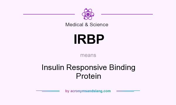 What does IRBP mean? It stands for Insulin Responsive Binding Protein