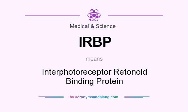 What does IRBP mean? It stands for Interphotoreceptor Retonoid Binding Protein