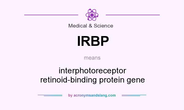 What does IRBP mean? It stands for interphotoreceptor retinoid-binding protein gene