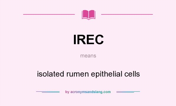 What does IREC mean? It stands for isolated rumen epithelial cells