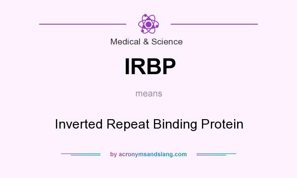 What does IRBP mean? It stands for Inverted Repeat Binding Protein