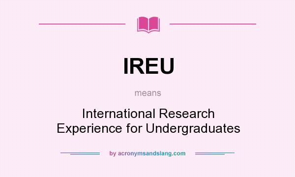 What does IREU mean? It stands for International Research Experience for Undergraduates