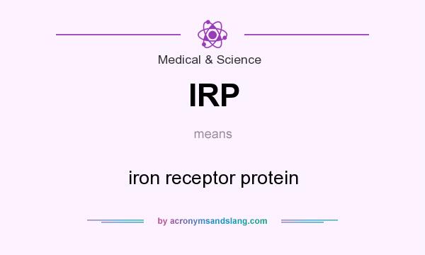 What does IRP mean? It stands for iron receptor protein
