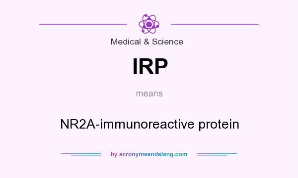 What does IRP mean? It stands for NR2A-immunoreactive protein