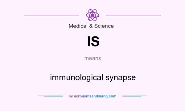 What does IS mean? It stands for immunological synapse