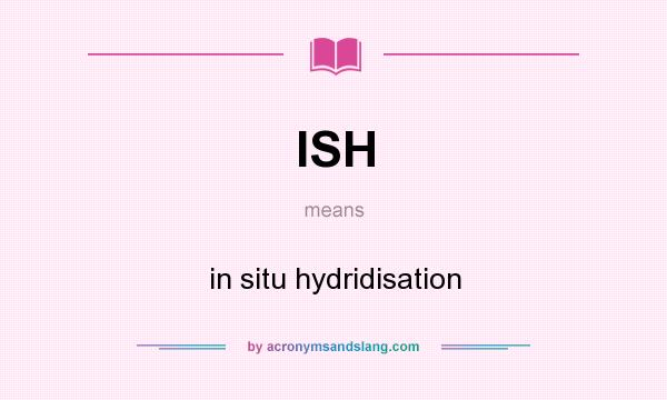 What does ISH mean? It stands for in situ hydridisation