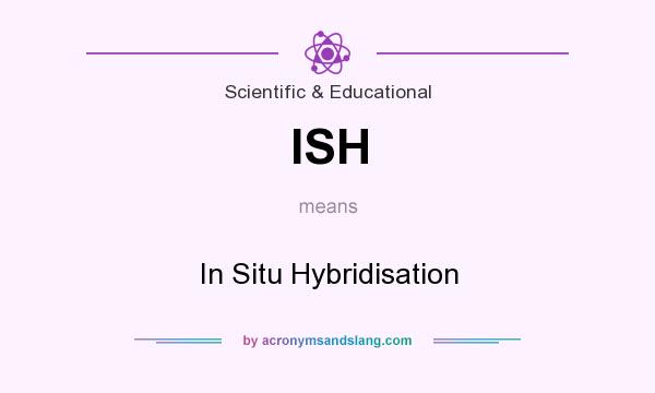 What does ISH mean? It stands for In Situ Hybridisation