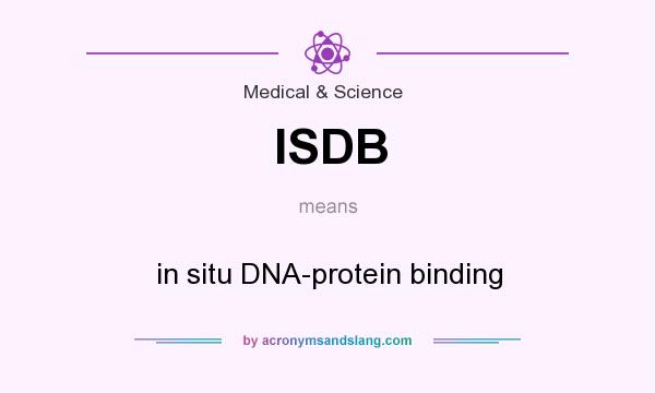 What does ISDB mean? It stands for in situ DNA-protein binding