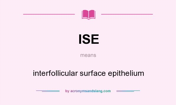 What does ISE mean? It stands for interfollicular surface epithelium