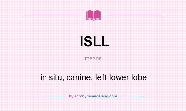 What does ISLL mean? It stands for in situ, canine, left lower lobe