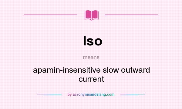 What does Iso mean? It stands for apamin-insensitive slow outward current