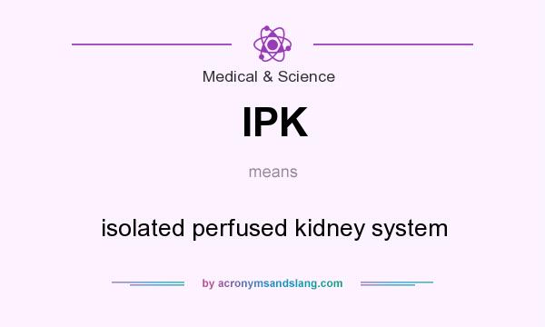 What does IPK mean? It stands for isolated perfused kidney system
