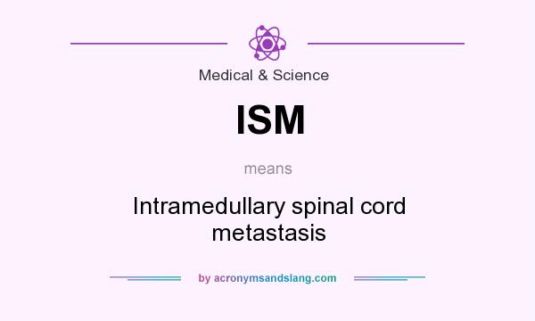 What does ISM mean? It stands for Intramedullary spinal cord metastasis