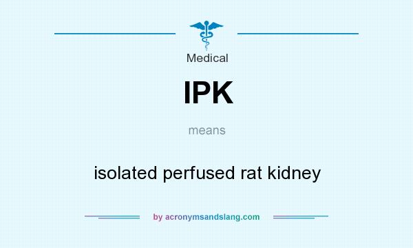 What does IPK mean? It stands for isolated perfused rat kidney