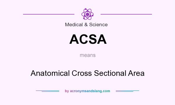 What does ACSA mean? It stands for Anatomical Cross Sectional Area