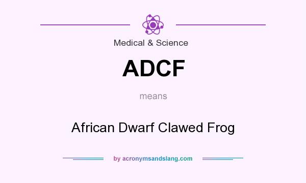 What does ADCF mean? It stands for African Dwarf Clawed Frog