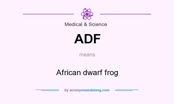 What does ADF mean? It stands for African dwarf frog