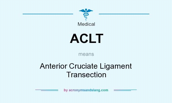 What does ACLT mean? It stands for Anterior Cruciate Ligament Transection