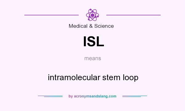 What does ISL mean? It stands for intramolecular stem loop