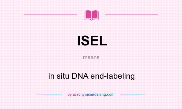 What does ISEL mean? It stands for in situ DNA end-labeling