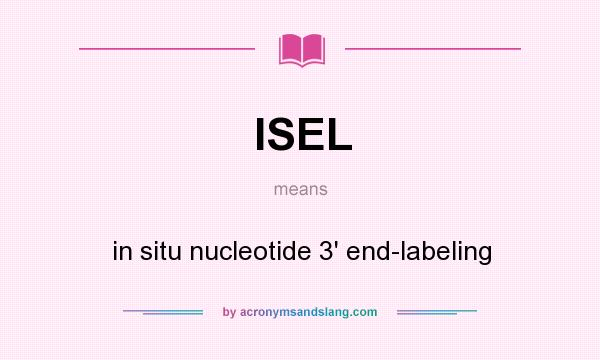 What does ISEL mean? It stands for in situ nucleotide 3` end-labeling