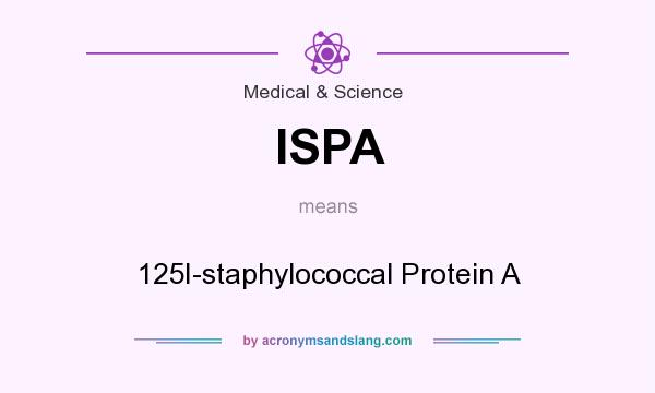 What does ISPA mean? It stands for 125I-staphylococcal Protein A
