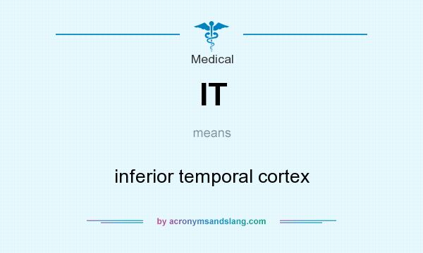 What does IT mean? It stands for inferior temporal cortex