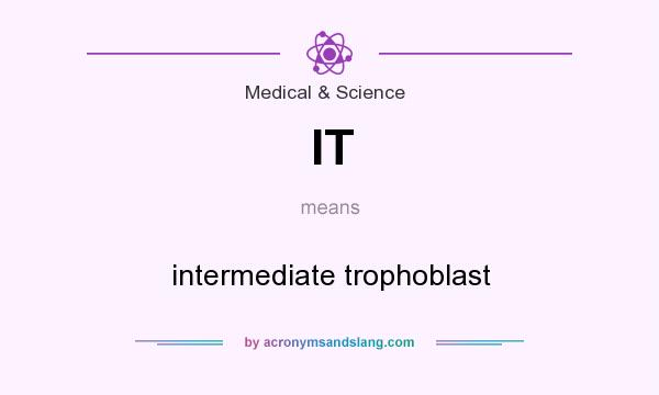 What does IT mean? It stands for intermediate trophoblast