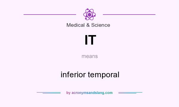 What does IT mean? It stands for inferior temporal