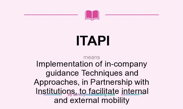 What does ITAPI mean? It stands for Implementation of in-company guidance Techniques and Approaches, in Partnership with Institutions, to facilitate internal and external mobility