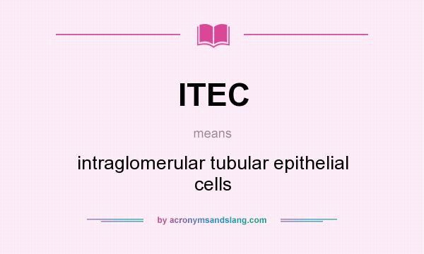 What does ITEC mean? It stands for intraglomerular tubular epithelial cells