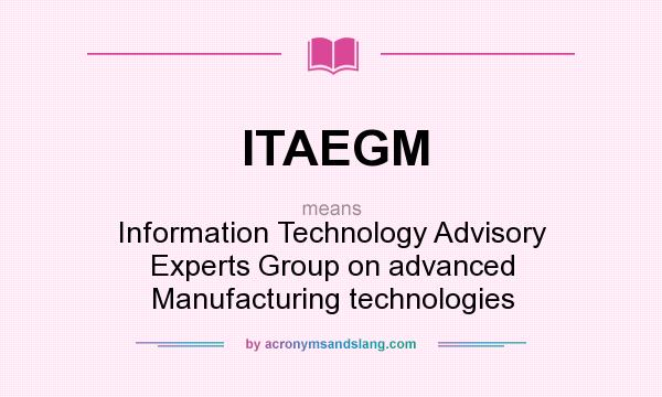 What does ITAEGM mean? It stands for Information Technology Advisory Experts Group on advanced Manufacturing technologies