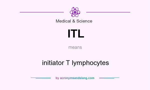 What does ITL mean? It stands for initiator T lymphocytes