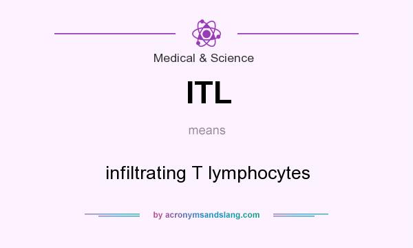 What does ITL mean? It stands for infiltrating T lymphocytes