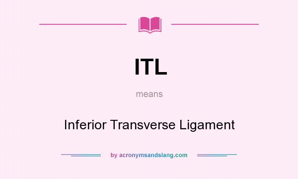 What does ITL mean? It stands for Inferior Transverse Ligament