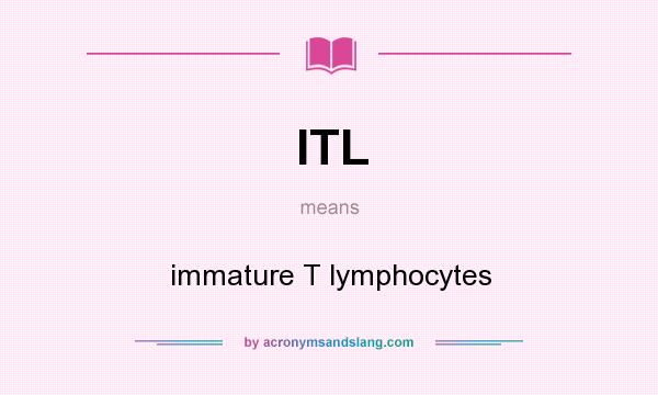 What does ITL mean? It stands for immature T lymphocytes