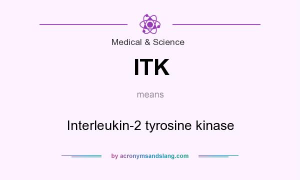 What does ITK mean? It stands for Interleukin-2 tyrosine kinase